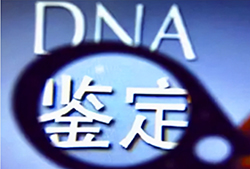 石家庄司法DNA亲子鉴定需要如何做【专家咨询】