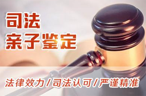 石家庄司法亲子鉴定办理费用,石家庄司法亲子鉴定需要怎么做