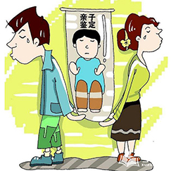 石家庄隐私亲子鉴定怎么做,石家庄个人想做亲子鉴定需要什么流程 石家庄隐私亲子鉴定怎么做,石家庄个人想做亲子鉴定需要什么流程
