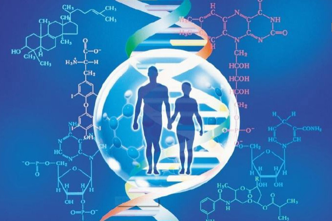 石家庄匿名亲子鉴定在哪做,石家庄隐私亲子鉴定生物样本有哪几种