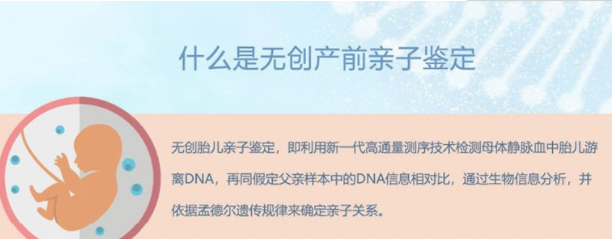 石家庄怀孕四周如何做无创孕期亲子鉴定,石家庄做无创怀孕亲子鉴定如何收费 石家庄怀孕四周如何做无创孕期亲子鉴定,石家庄做无创怀孕亲子鉴定如何收费