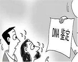 在石家庄哪个医院能办理血缘检测，石家庄医院办理DNA鉴定需要什么流程